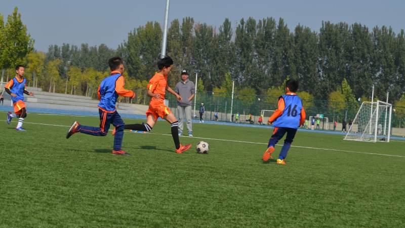 bsports必一运动(中国区)官方网站 手球规则的范围界定